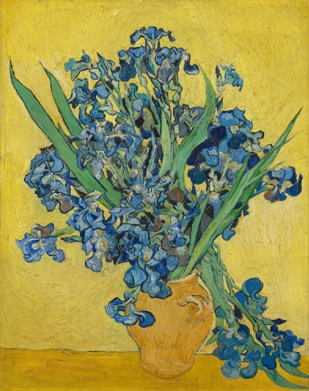 Flower Spring